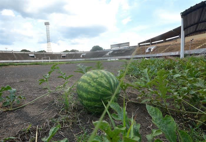 Abandonada pela CBF, Campo Grande permanece sem esperanças de receber jogo da seleção
