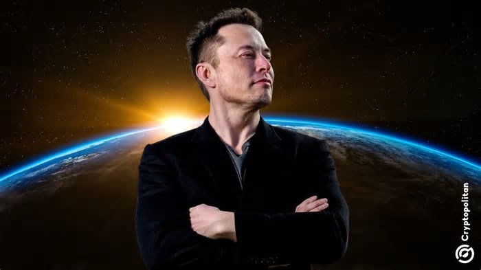 South Africa’s plan to accommodate Musk’s Starlink has not gone down well at home