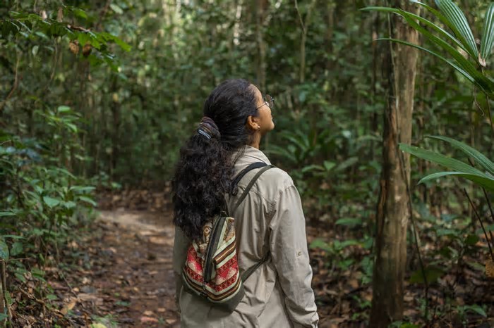 COP 30: a relação entre a emissão de carbono, os povos indígenas e o preço dos alimentos