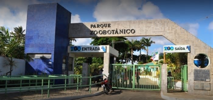Zoológico de Salvador reabre nesta terça-feira com entrada gratuita