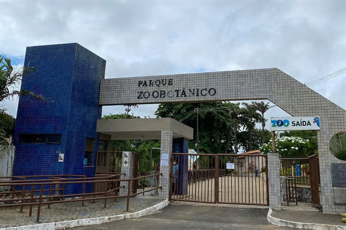 Zoológico de Salvador reabre nesta terça (3); saiba quais animais encontrar lá