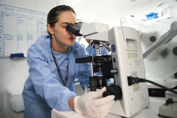 Investimentos em ciência e tecnologia impulsionam desenvolvimento de Minas Gerais