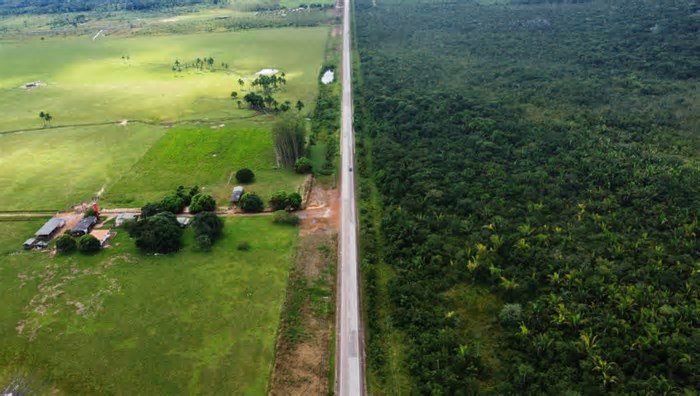 Plataforma traça o mapa da renda na floresta amazônica contra desmatamento