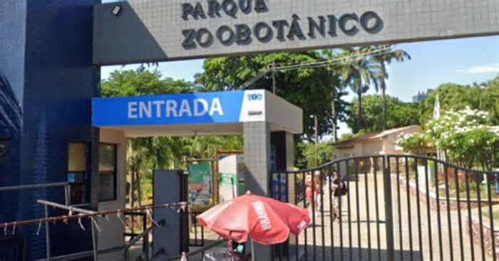 Zoológico de Salvador reabre após três meses de reforma