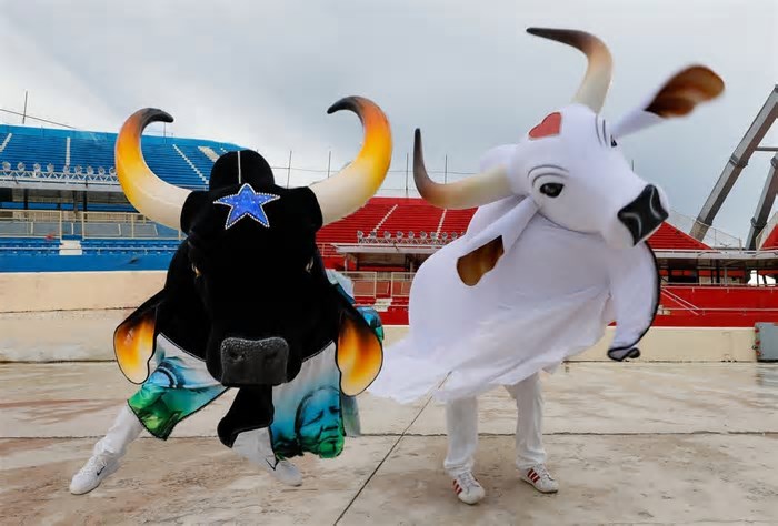 Parintins 2025: datas, toadas e tudo sobre o Festival Folclórico do Amazonas