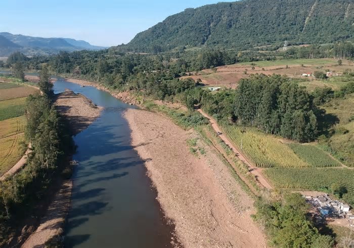 Ações isoladas buscam recuperar vegetação após enchentes no Rio Grande do Sul, mas ambientalistas pedem medidas amplas