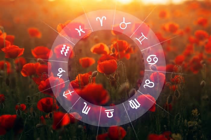 Por que humanos ainda entendem flores melhor que a inteligência artificial