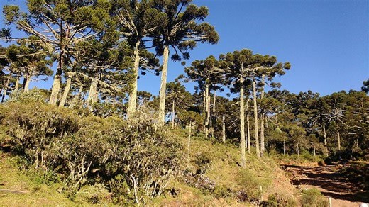 Essa cidade surpreende até cientistas com um espetáculo da natureza