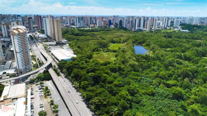 ‘Qualidade de Vida’: Fortaleza é a segunda do NE em bem-estar e uma das piores em oportunidades