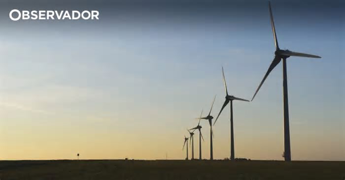 Energia eólica cresce, mas Portugal continua longe das metas climáticas