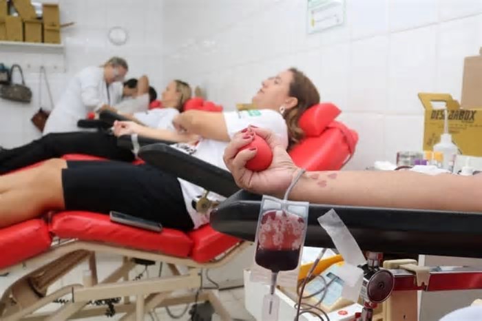Dia dos Namorados: Hemocentro de Juiz de Fora faz campanha para estimular doação de sangue por casais