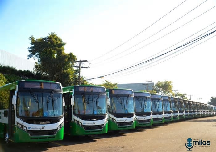 Puxado por transportes, setor de serviços cresce em abril e acumula 1,5% no ano