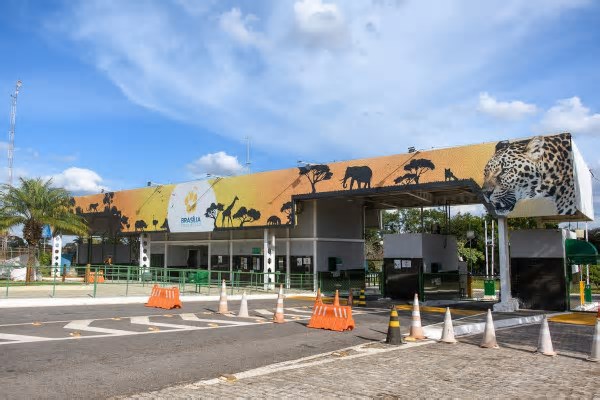 Ave é sacrificada no Zoológico de Brasília após nova suspeita de gripe aviária