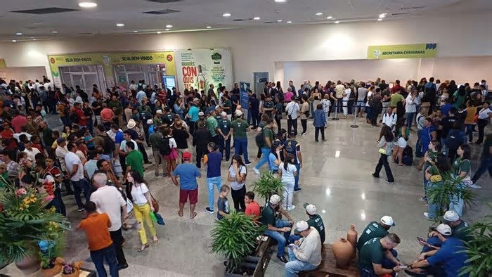 Pecnordeste: De onde vem a força da agropecuária do Ceará