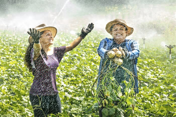 Do campo p/ o mundo: O empreendedorismo feminino é raiz que fortalece