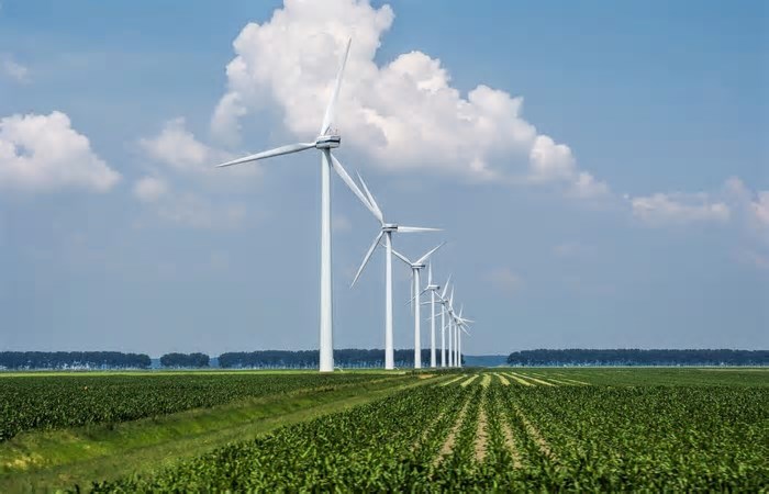 Energia limpa avança na indústria: 48% das empresas já adotam fontes renováveis