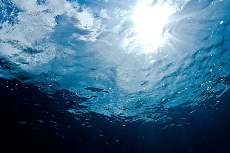 Brasil vive 'crescente degradação' dos oceanos e tendência é piorar, diz professor que participa de conferência ao lado de Lula