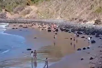 Um turista morreu enquanto tomava banho de mar na Praia do Meio, em Fernando de Noronha, na tarde desta segunda-feira (9). A ...