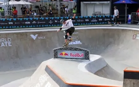 Kalani Konig teve dificuldades para definir em palavras o que significava ser vice-campeão mundial de skate park ...