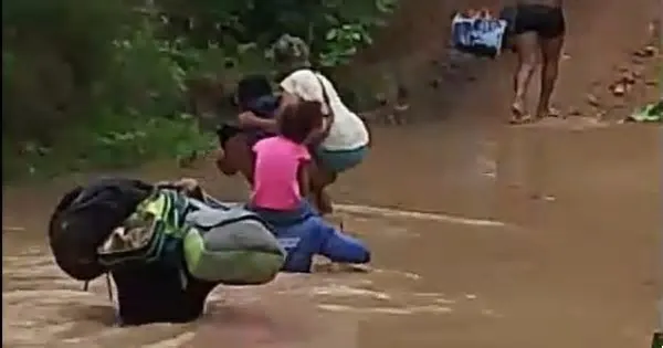 Notícias do Tocantins - Moradores da zona rural de Taipas do Tocantins estão enfrentando uma rotina de risco durante o ...