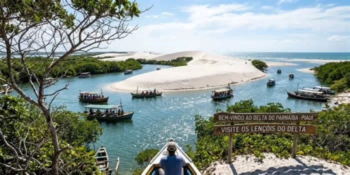 Todo entardecer, milhares de guarás de vermelho intenso cruzam o céu e pousam nas copas dos mangues para dormir. O ...