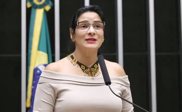 A Comissão da Amazônia e dos Povos Originários e Tradicionais da Câmara dos Deputados realiza na terça-feira (24) audiência ...