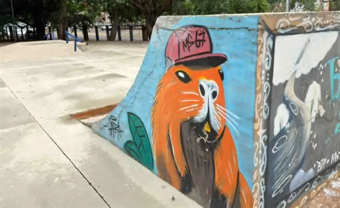 Os reparos na pista de skate da arena do Horto Florestal, em Campo Grande, foram concluídos nesta semana. As intervenções ...