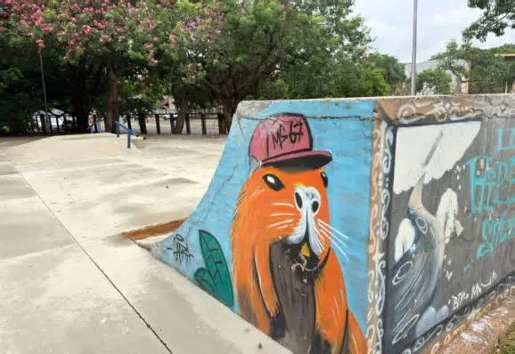A pista de skate da Arena do Horto Florestal, Parque Florestal Antônio de Albuquerque, teve os reparos concluídos nesta ...