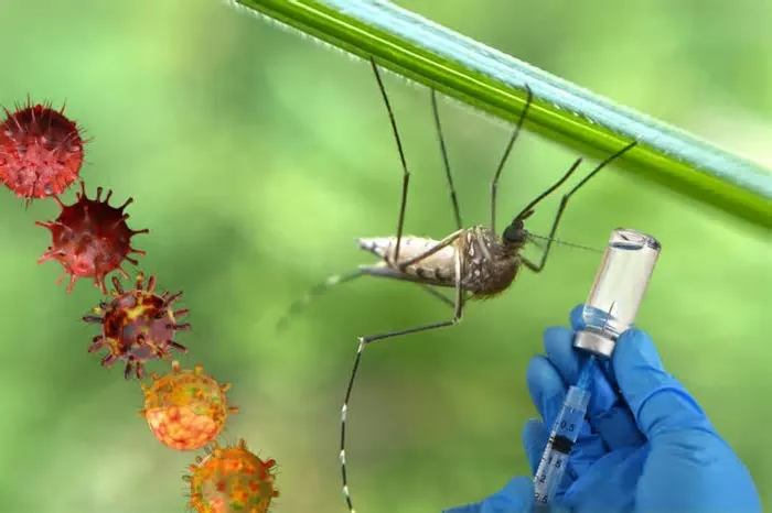 La vacuna, también conocida como TAK-003, es un biológico tetravalente, lo que significa que protege contra los cuatro tipos ...