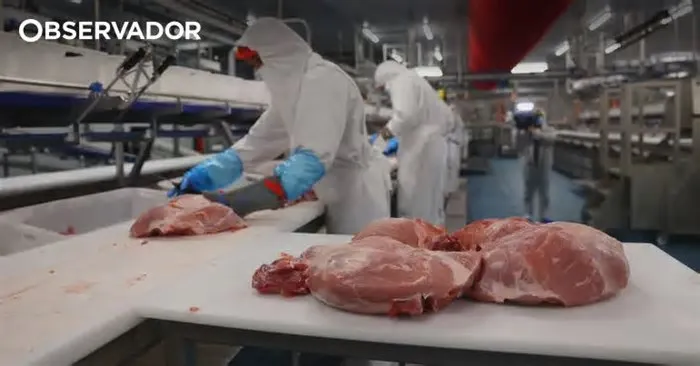 A indústria agroalimentar e das bebidas espera ultrapassar a barreira dos 5.000 milhões de euros de Valor Acrescentado Bruto ...
