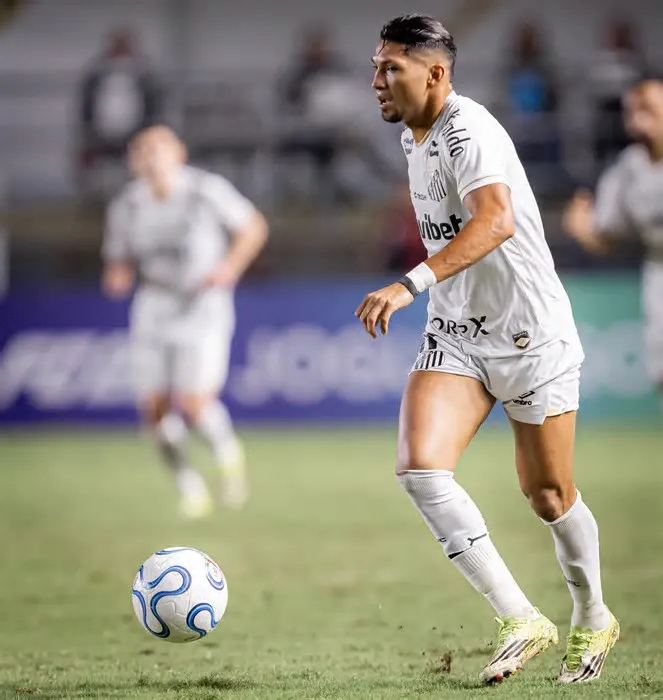 O Santos fez uma primeira janela de transferências bastante ativa no início da temporada e trouxe, ao todo, seis reforços ...