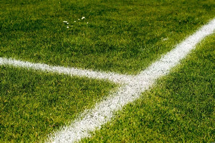 A Organização Mundial da Saúde (OMS) garantiu que o risco de transmissão do vírus do Ébola durante o Campeonato do Mundo de ...