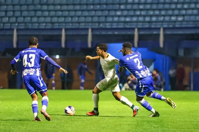 Neste domingo, Chapecoense e Avaí se enfrentam no jogo de volta da final da Copa Sul-Sudeste 2026. A bola rola às 11h (de ...