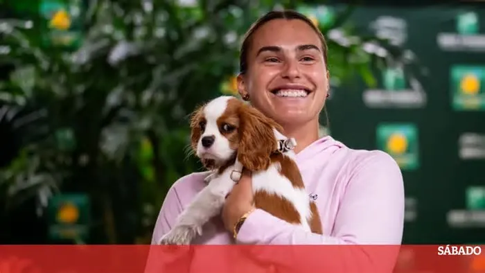 Enquanto Roland Garros surpreendeu ao permitir a presença de cães ligados aos jogadores nos bastidores, Wimbledon mantém uma ...
