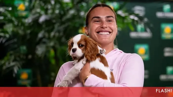 Enquanto Roland Garros surpreendeu ao permitir a presença de cães ligados aos jogadores nos bastidores, Wimbledon mantém uma ...