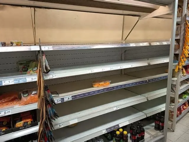 SEVILLA, 25 (EUROPA PRESS) Los sindicatos han desconvocado la huelga en el sector de los operadores logísticos de Sevilla ...