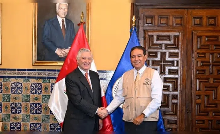 La delegación, encabezada por el secretario de Asuntos Políticos de la organización, Víctor Rico, se reunió con el canciller ...