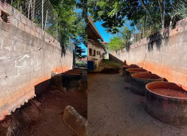 Com atuação voltada à inclusão, educação, desenvolvimento e garantia de direitos das pessoas com deficiência, a APAE de ...