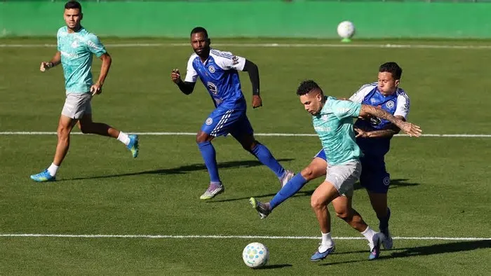 Paulinho marcou dois gols na vitória do Palmeiras por 6 a 0 em jogo-treino. Ele segue com minutagem controlada, mas anima o ...